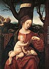 Madonna with Grape by Hans the elder Burgkmair